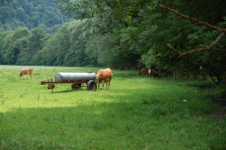 2006-07-07 Paddeln Sommerurlaub sterreich Slowenien C 031