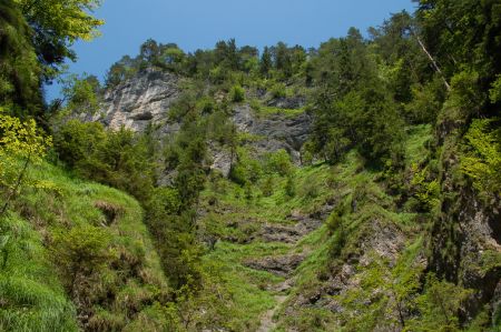 2006-07-07 Paddeln Sommerurlaub sterreich Slowenien D 126