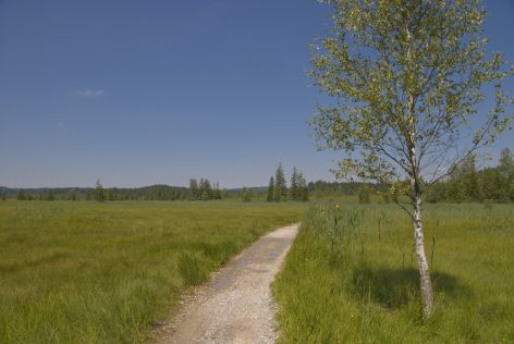 2008-06-30 Paddeln Sommerurlaub Bayer sterreich 491