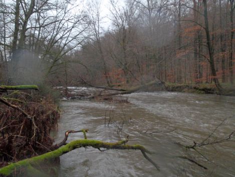 2008-12-21 Paddeln Brhl 057