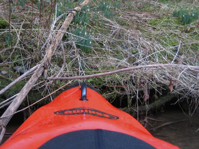 2009-02-14 Wupper Eisfahrt 008