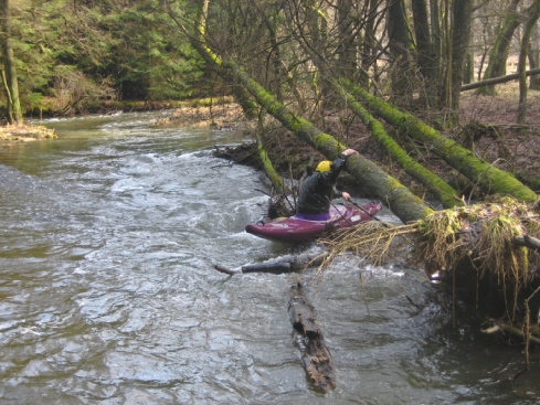 2009-03-01 Paddeln Auerbach 010