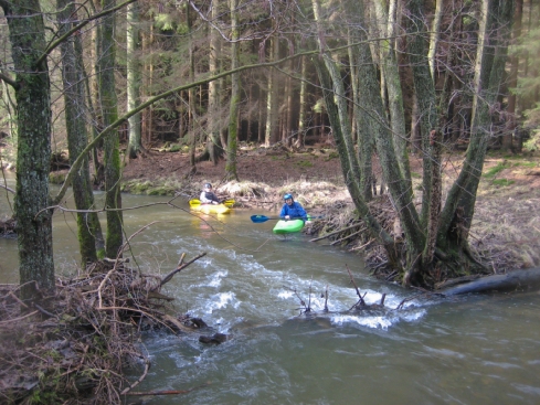 2009-03-01 Paddeln Auerbach 014