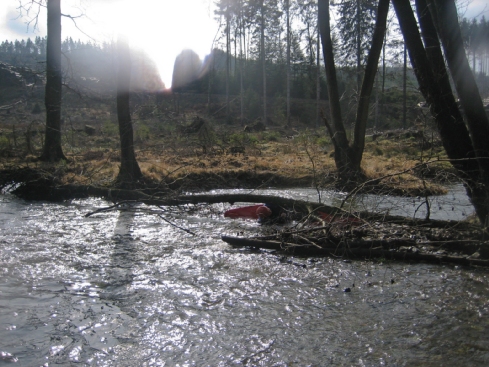 2009-03-01 Paddeln Auerbach 017