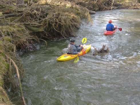 2009-03-01 Paddeln Auerbach 032