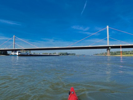 2010-09-11 Paddeln Rhein 028