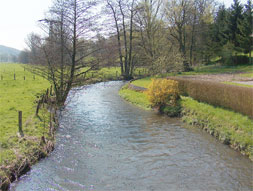 Alme-(19)