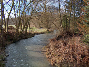 Deilbach-(41)